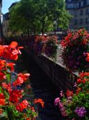 La chasse A Part chasseur immobilier strasbourg